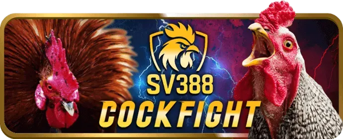 Xác nhận đăng ký tài khoản 60win nhà cái